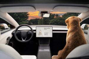 Tesla-Model-3-indicator-stalks-dog-mode